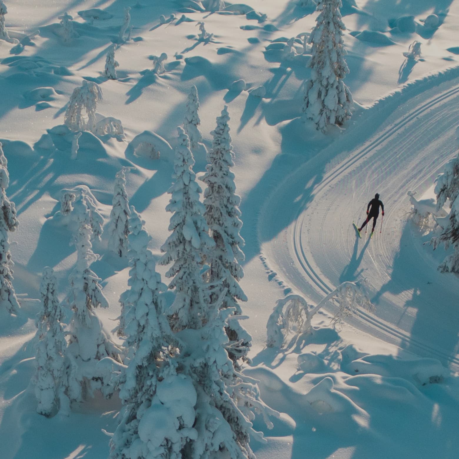 A person cross-country skiing on a snowy trail surrounded by snow-covered trees under clear skies.