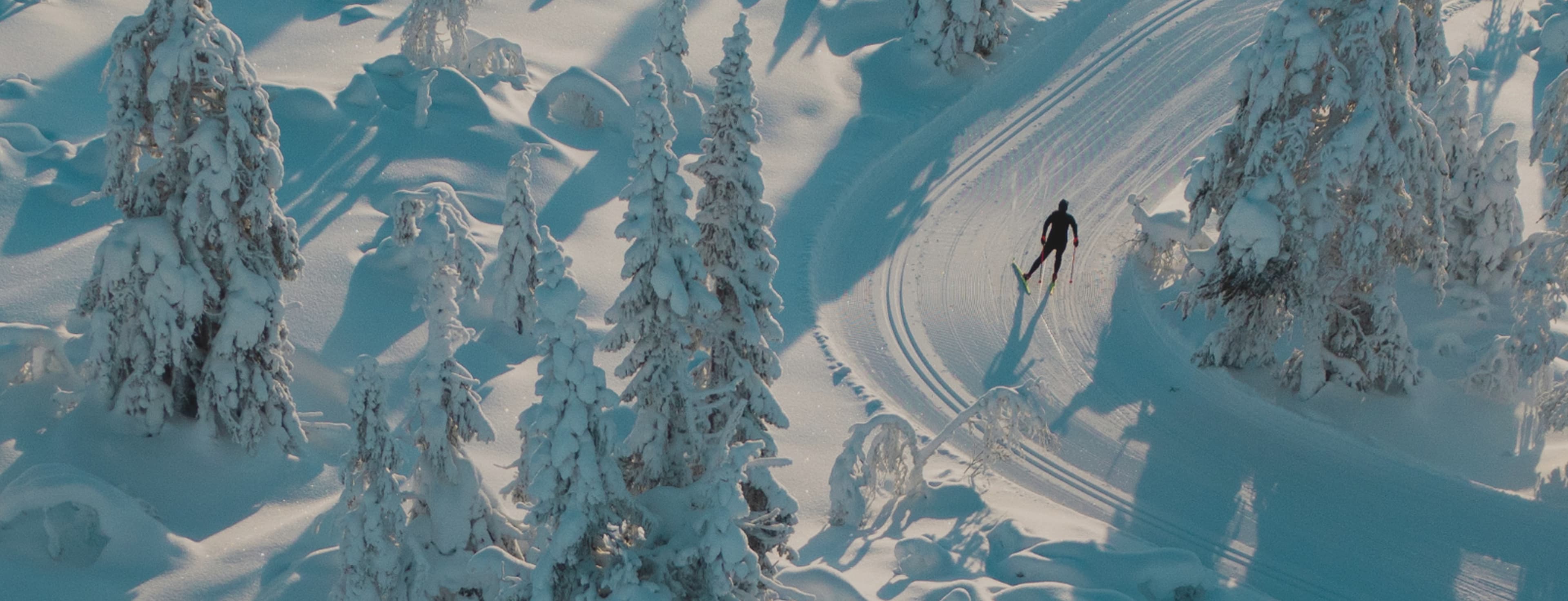 A person cross-country skiing on a snowy trail surrounded by snow-covered trees under clear skies.